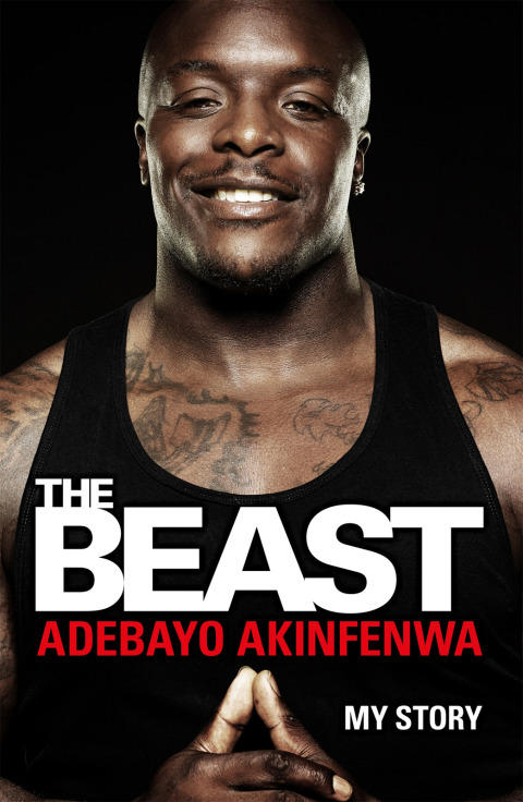Cover image for book The Beast