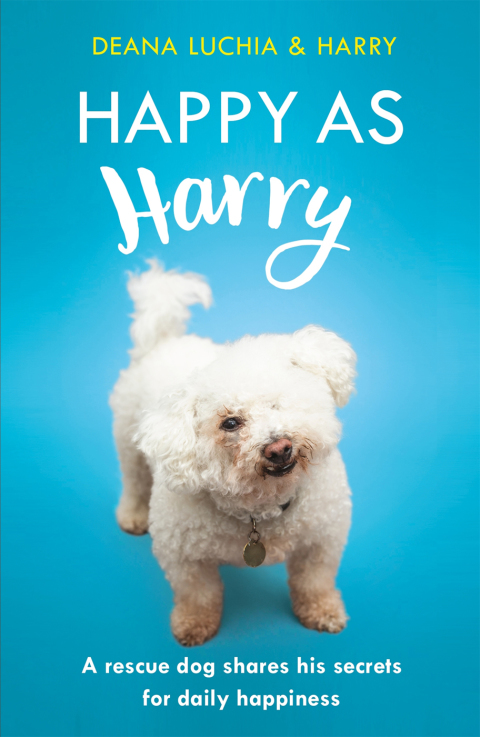 Cover image for book Happy as Harry
