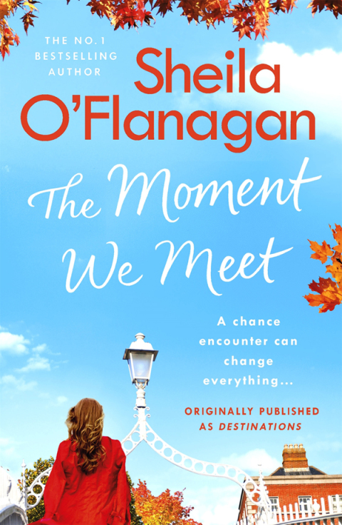 Cover image for book The Moment We Meet