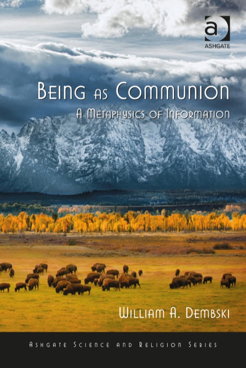 Cover image for book Being as Communion: A Metaphysics of Information