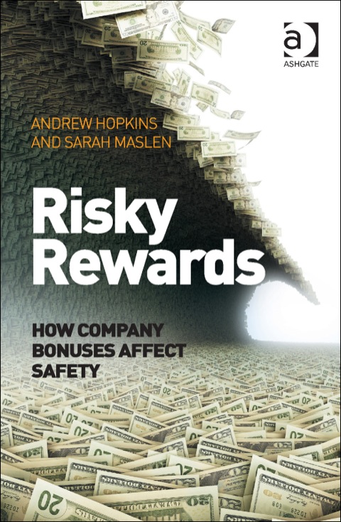 Cover image for book Risky Rewards