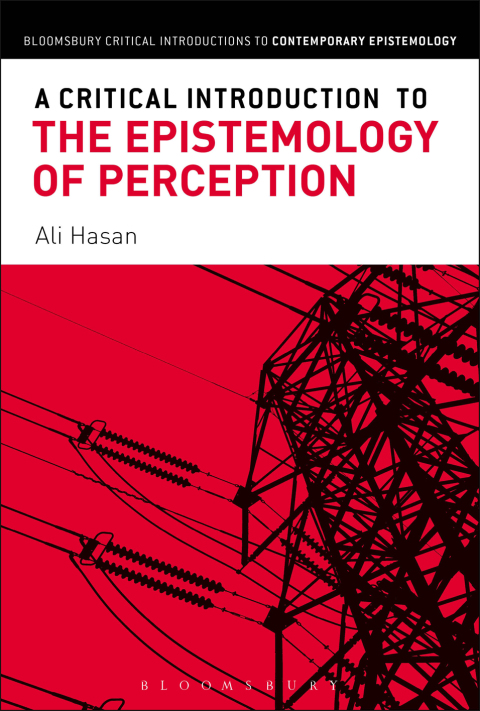 Cover image for book A Critical Introduction to the Epistemology of Perception