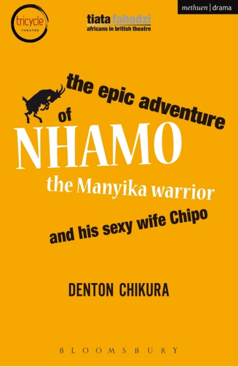 Cover image for book The Epic Adventure of Nhamo the Manyika Warrior and his Sexy Wife Chipo