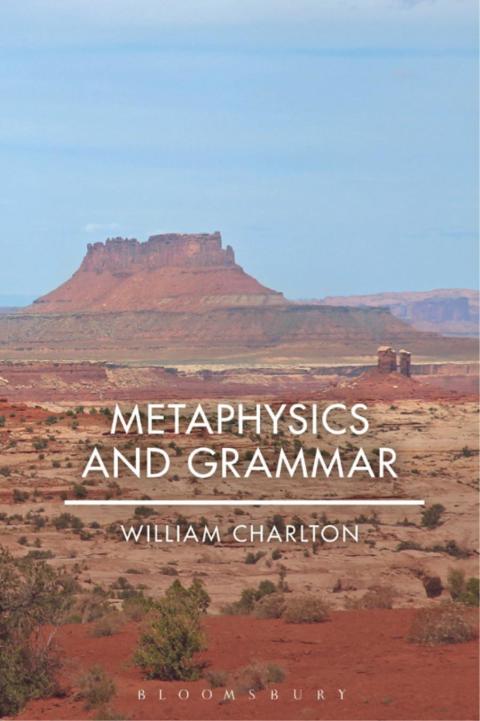 Cover image for book Metaphysics and Grammar