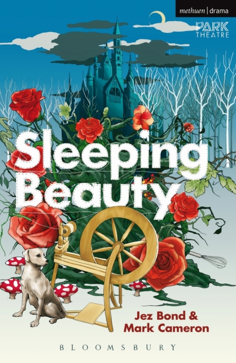 Cover image for book Sleeping Beauty