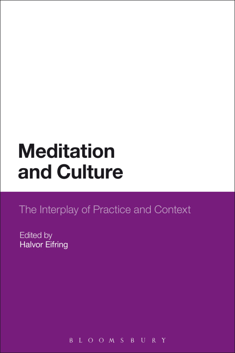 Cover image for book Meditation and Culture