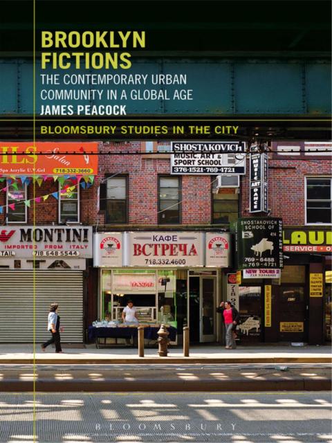 Cover image for book Brooklyn Fictions