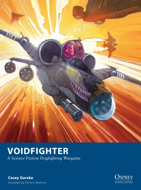 Cover image for book Voidfighter