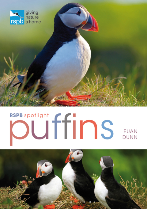 Cover image for book RSPB Spotlight: Puffins