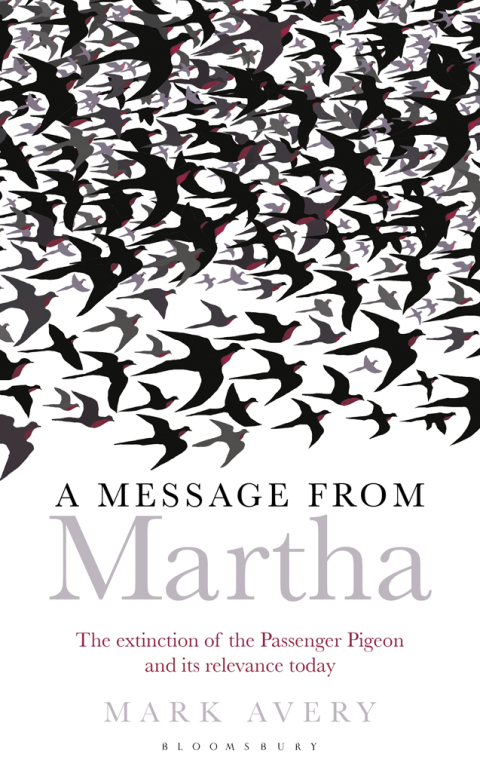 Cover image for book A Message from Martha