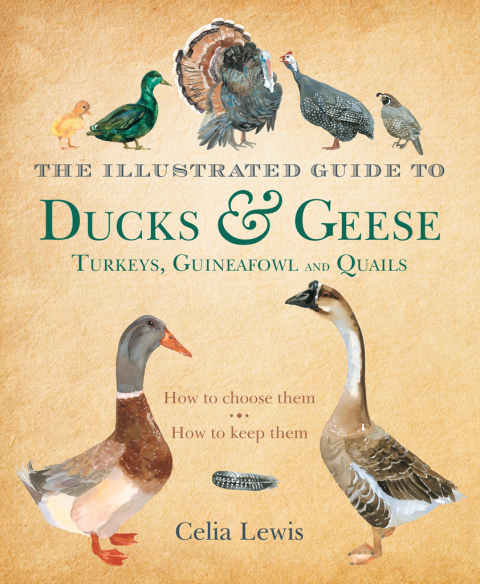 Cover image for book The Illustrated Guide to Ducks and Geese and Other Domestic Fowl