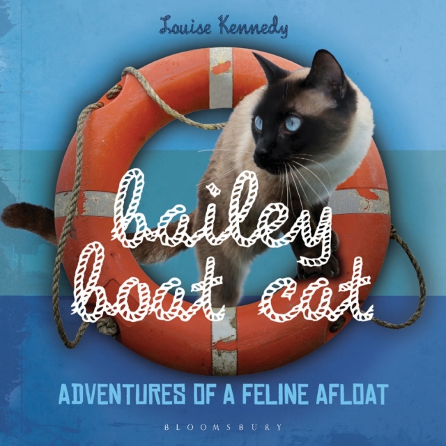 Bailey Boat Cat