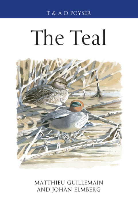 Cover image for book The Teal
