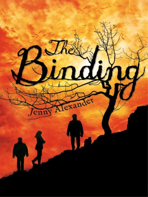 Cover image for book The Binding