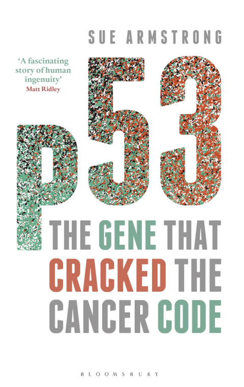 Cover image for book p53