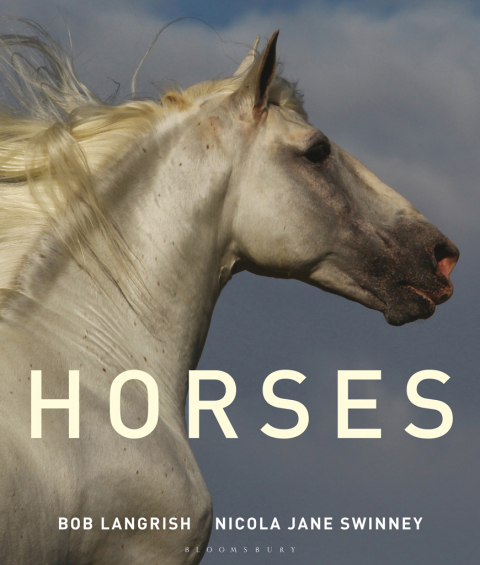 Cover image for book Horses