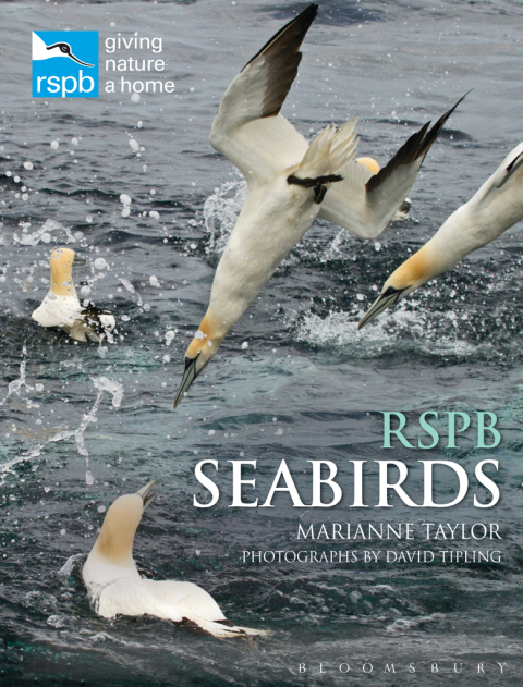Cover image for book RSPB Seabirds