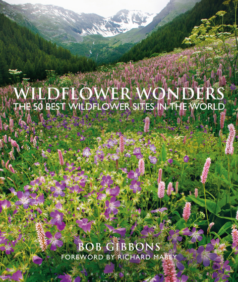 Cover image for book Wildflower Wonders