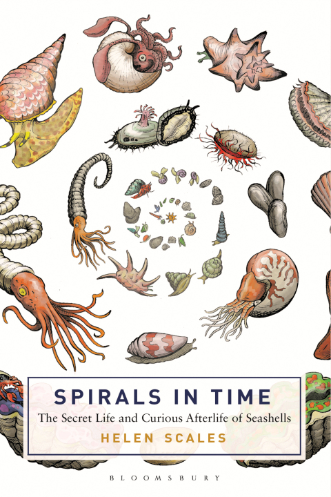 Cover image for book Spirals in Time
