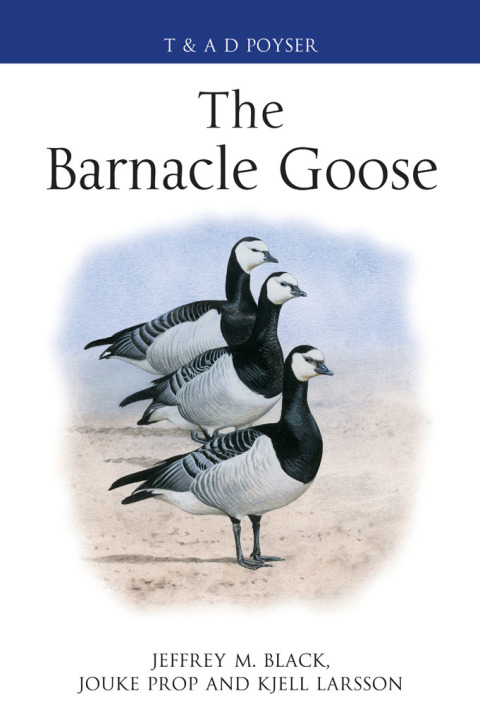 Cover image for book The Barnacle Goose