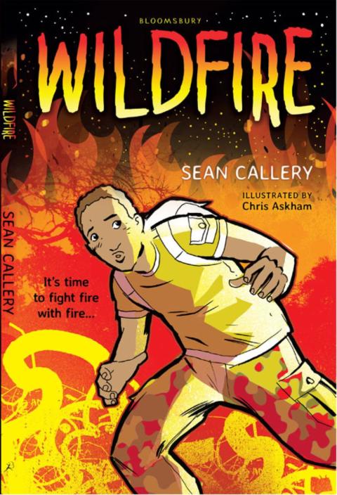 Cover image for book Wildfire