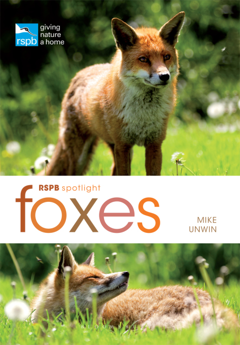 Cover image for book RSPB Spotlight: Foxes