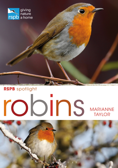 Cover image for book RSPB Spotlight: Robins