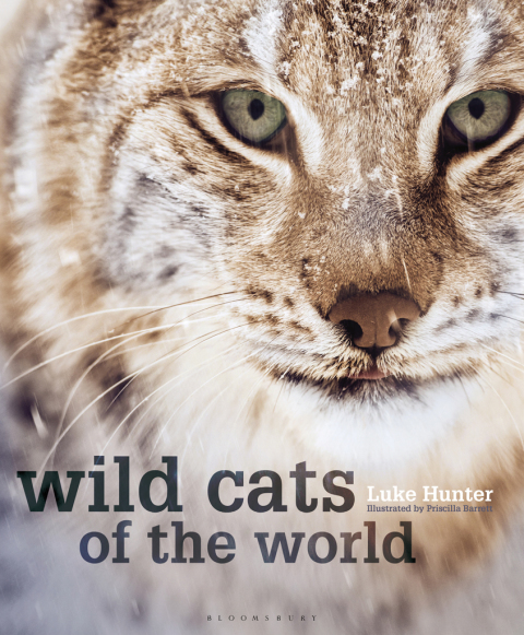 Cover image for book Wild Cats of the World