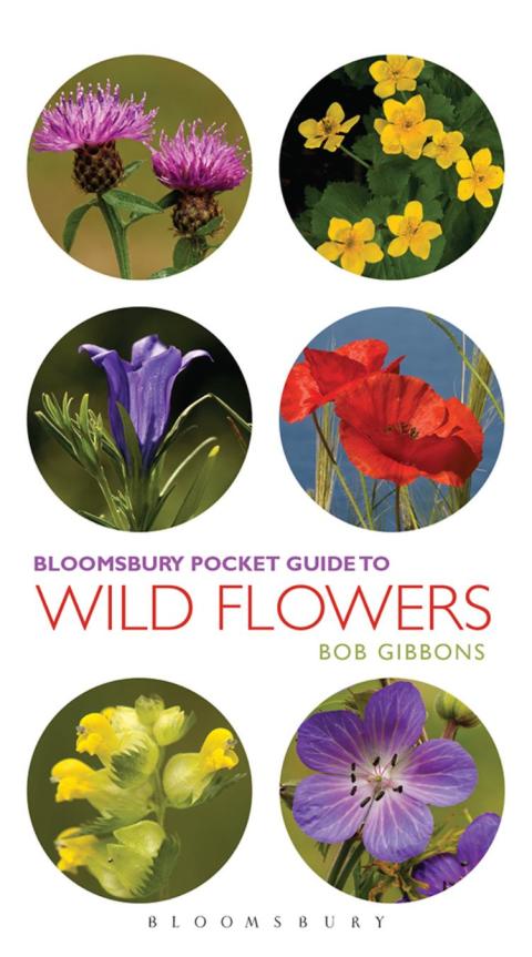 Cover image for book Pocket Guide To Wild Flowers
