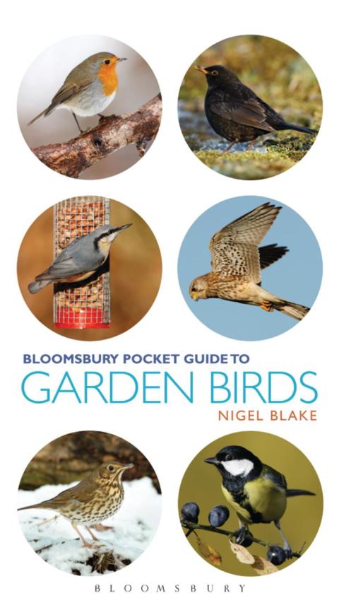 Pocket Guide To Garden Birds 
