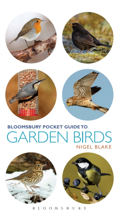 Pocket Guide To Garden Birds 