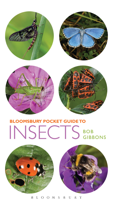 Cover image for book Pocket Guide to Insects