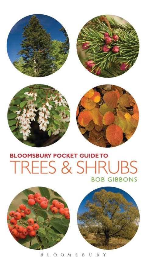 Cover image for book Pocket Guide to Trees and Shrubs