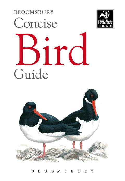 Cover image for book Concise Bird Guide