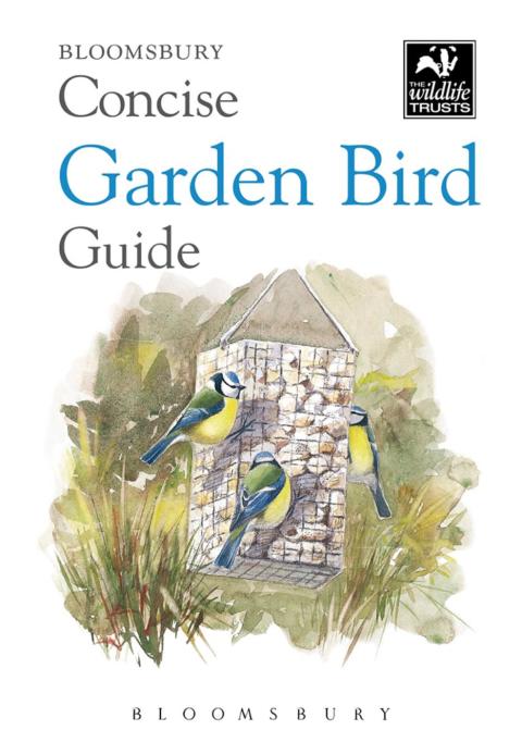 Concise Garden Bird Guide 