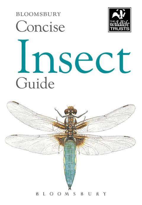 Concise Insect Guide 