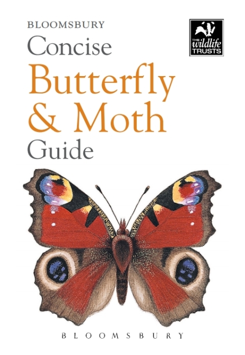 Concise Butterfly and Moth Guide 