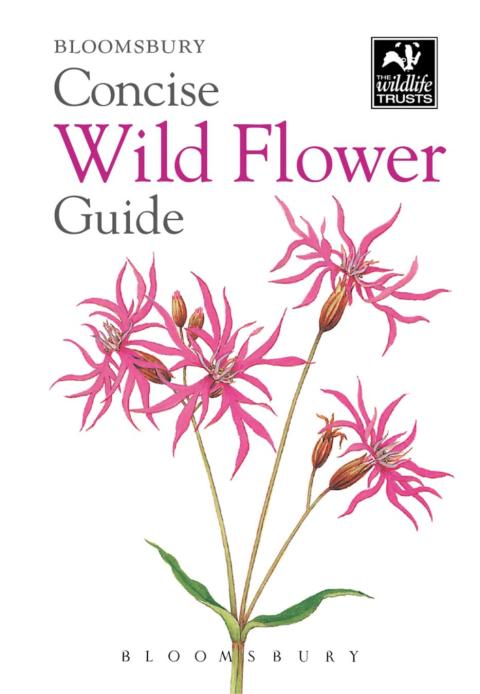 Cover image for book Concise Wild Flower Guide