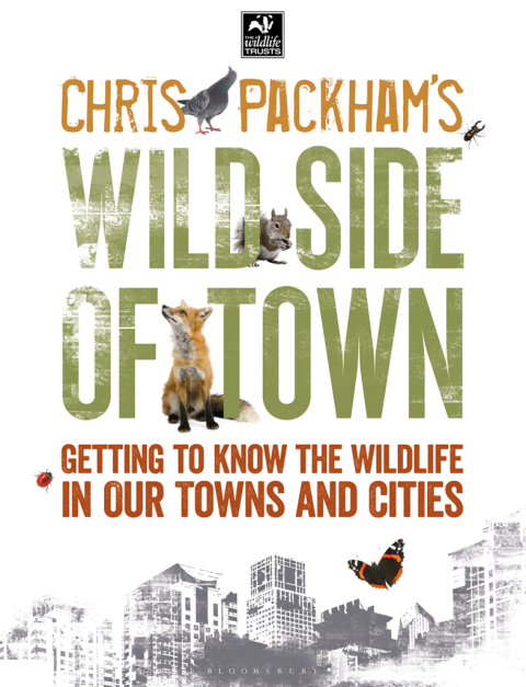 Cover image for book Chris Packham's Wild Side Of Town