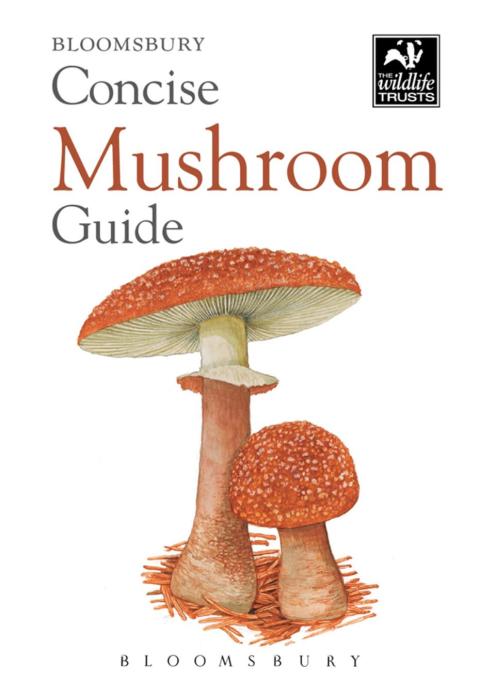 Cover image for book Concise Mushroom Guide