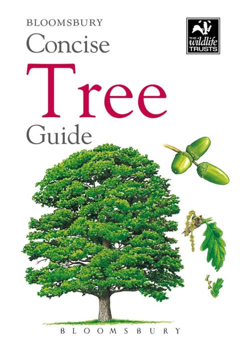 Cover image for book Concise Tree Guide