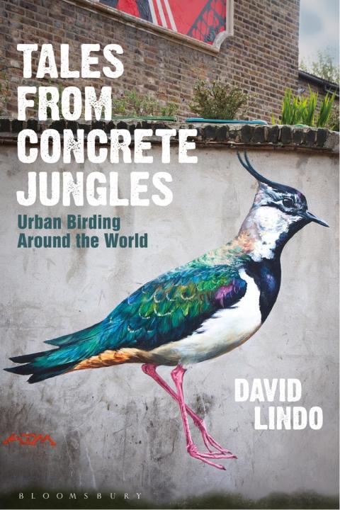 Cover image for book Tales from Concrete Jungles