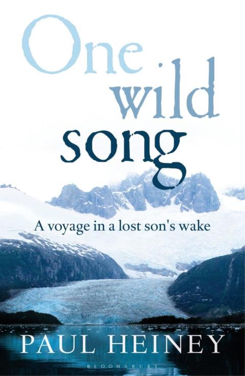 Cover image for book One Wild Song