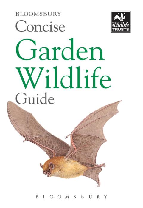 Cover image for book Concise Garden Wildlife Guide