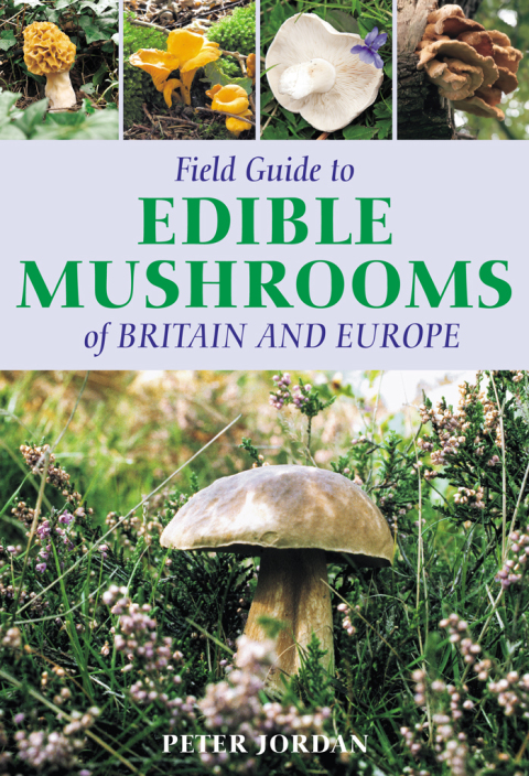 Cover image for book Field Guide To Edible Mushrooms Of Britain And Europe