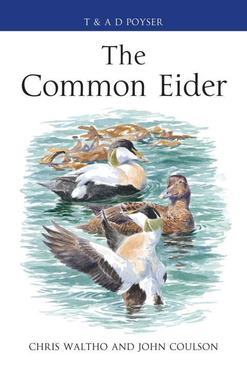 Cover image for book The Common Eider
