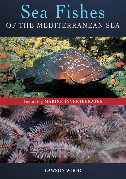 Sea Fishes Of The Mediterranean Including Marine Invertebrates 