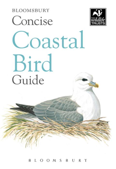 Cover image for book Concise Coastal Bird Guide