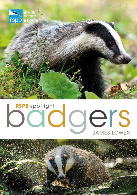 Cover image for book RSPB Spotlight: Badgers