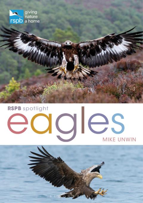 Cover image for book RSPB Spotlight: Eagles